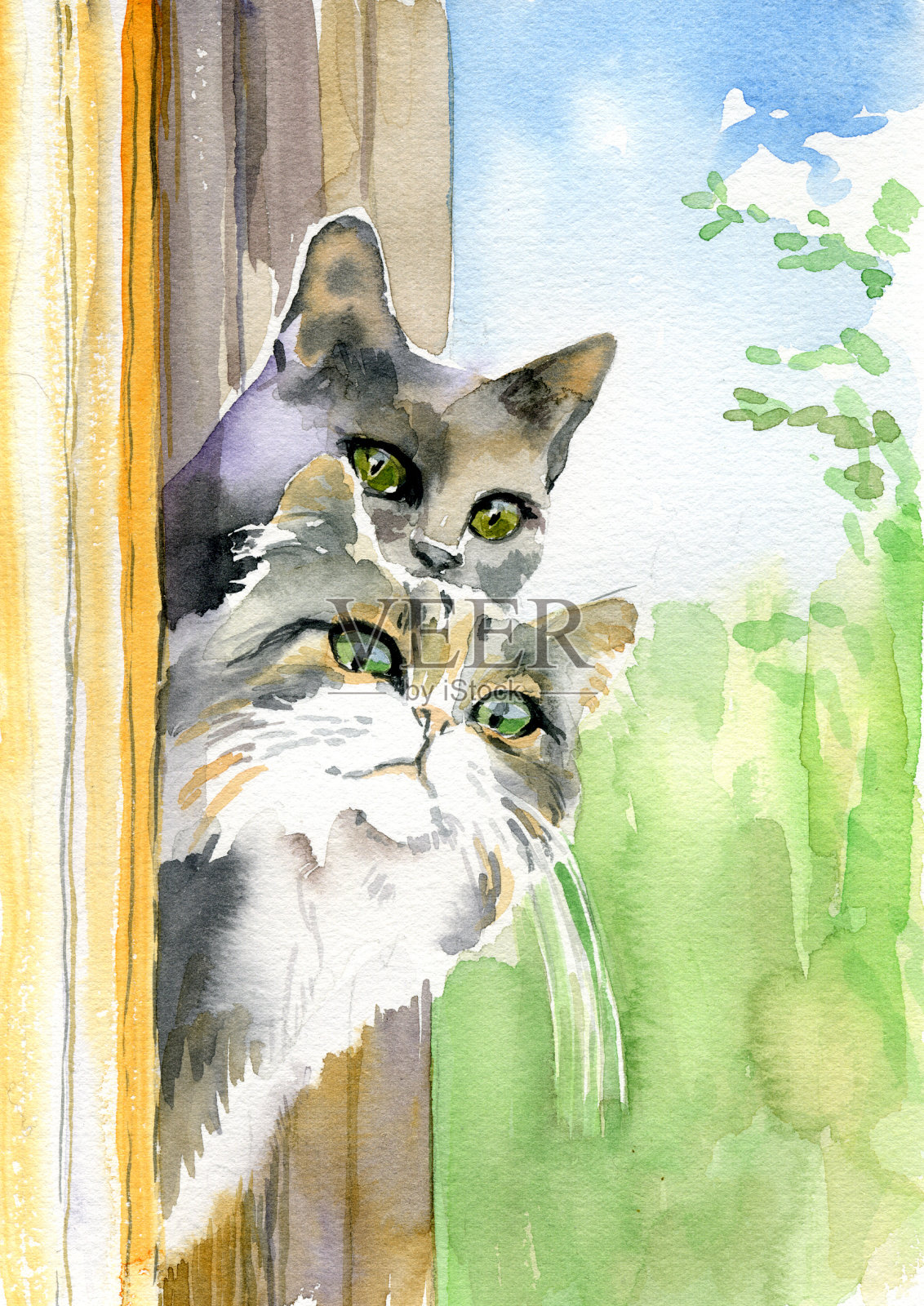猫的水彩画插画图片素材