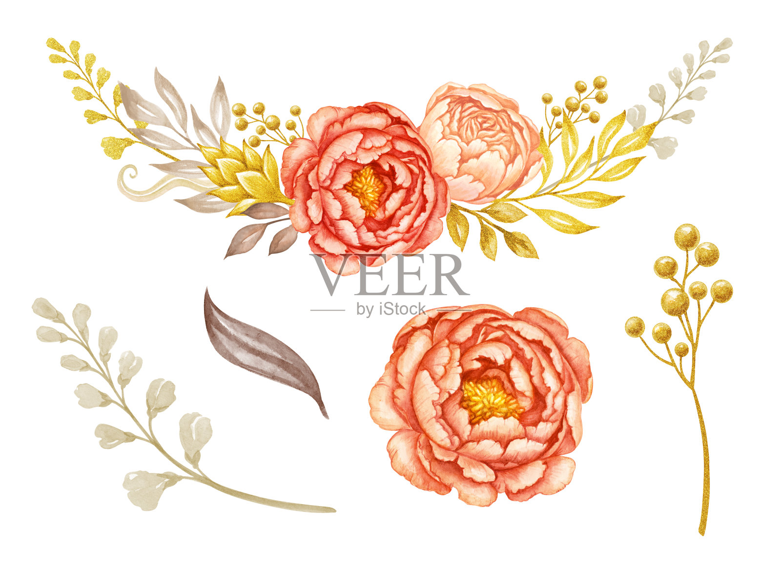 珊瑚和桃花牡丹花和金色的叶子，水彩插图，花卉设计元素孤立在白色的背景插画图片素材