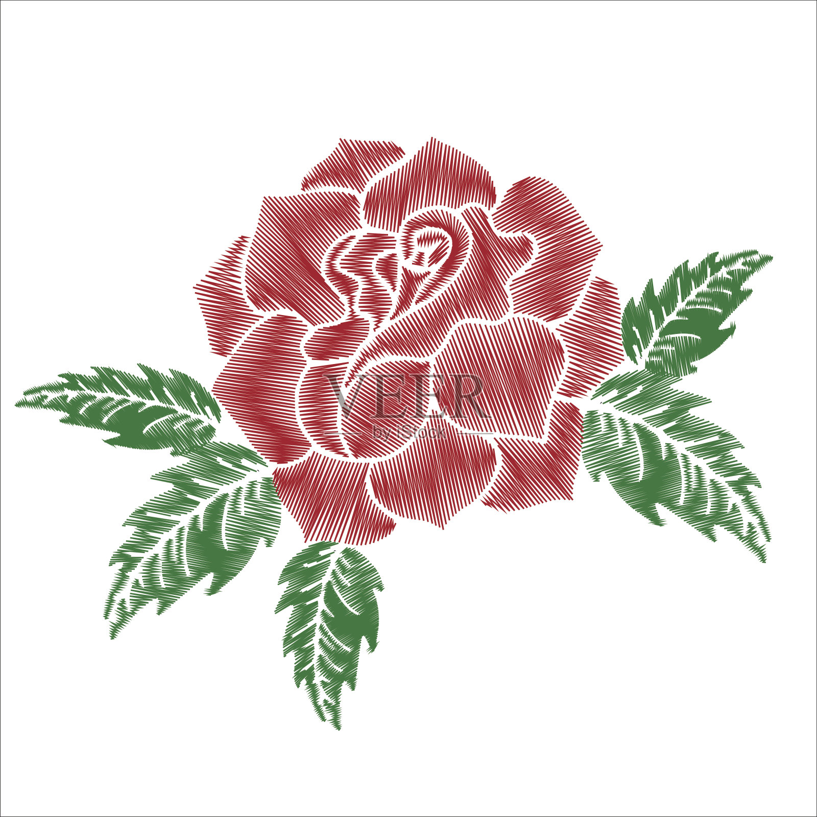 红玫瑰，绿叶刺绣，白底插画图片素材
