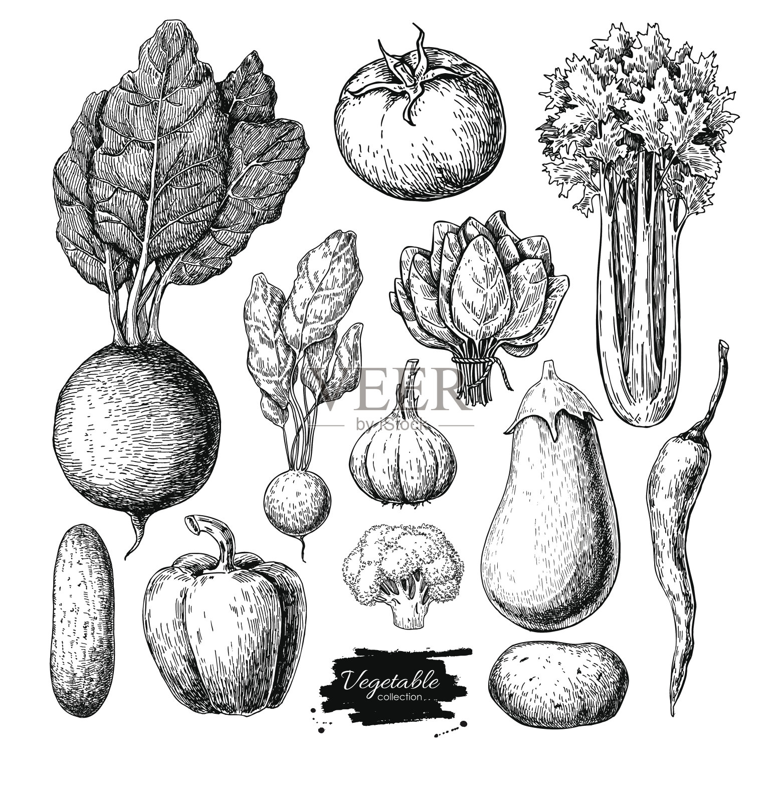 蔬菜手绘矢量集。孤立的素食雕刻圣插画图片素材