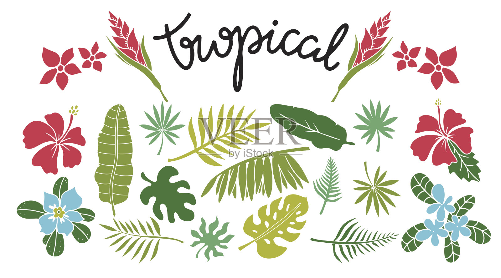 热带叶，花集设计元素图片