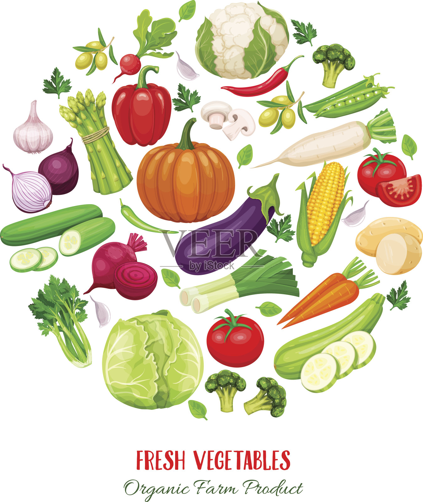 海报圆形构图与彩色蔬菜插画图片素材