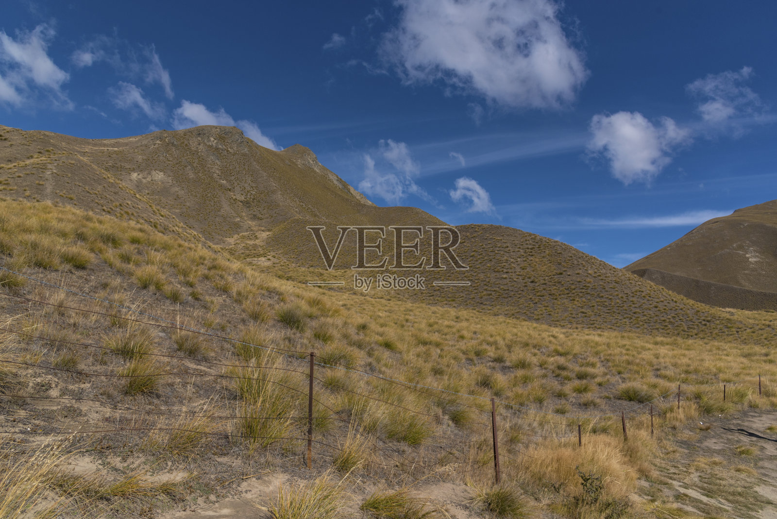 新西兰怀塔基区草山蓝天照片摄影图片