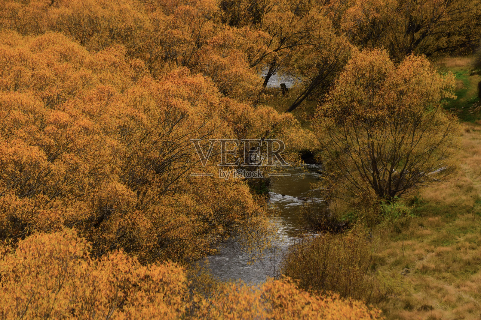 黄色，橙色和红色的秋叶在美丽的秋天公园。照片摄影图片