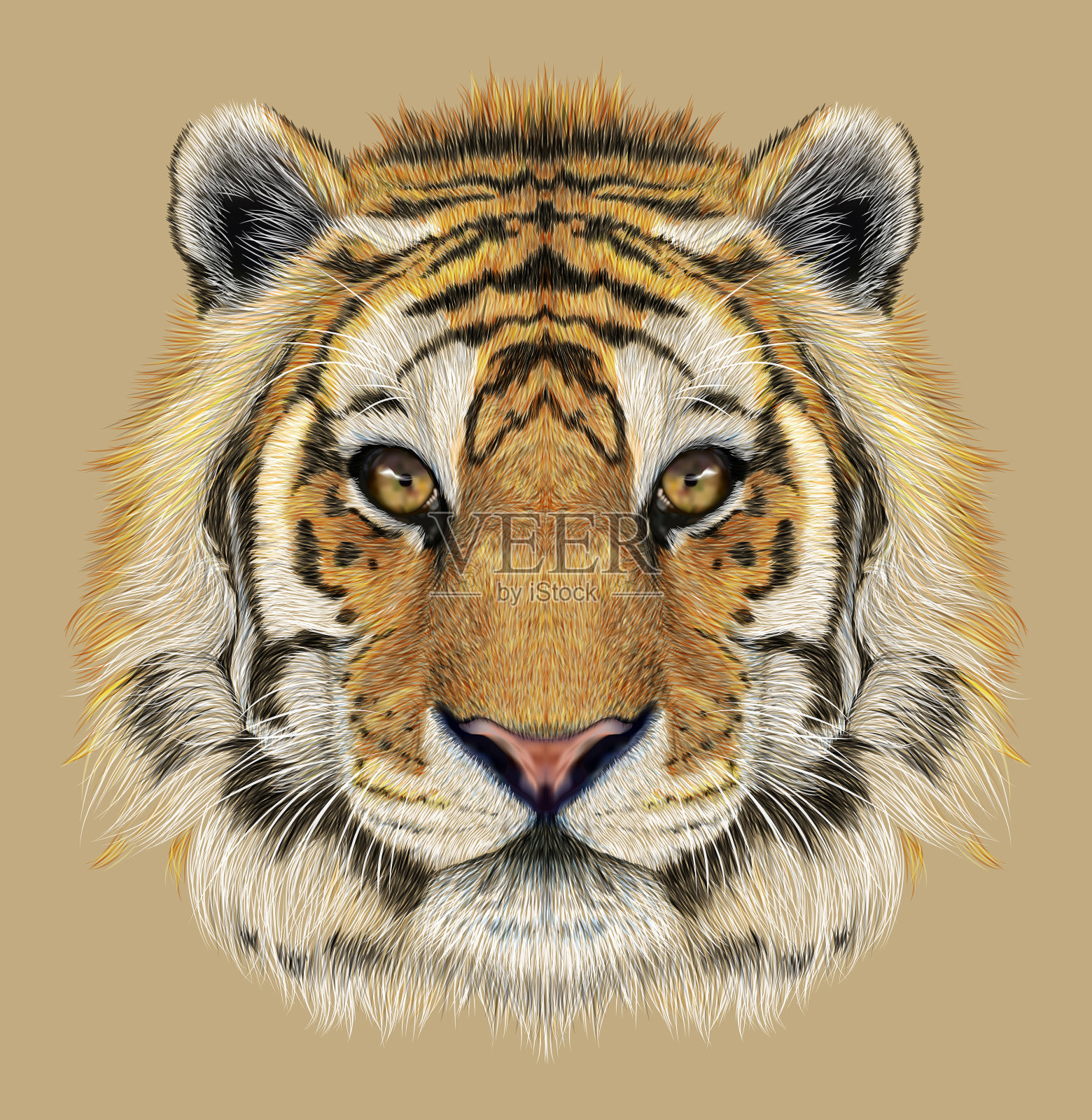 老虎的画像插画图片素材