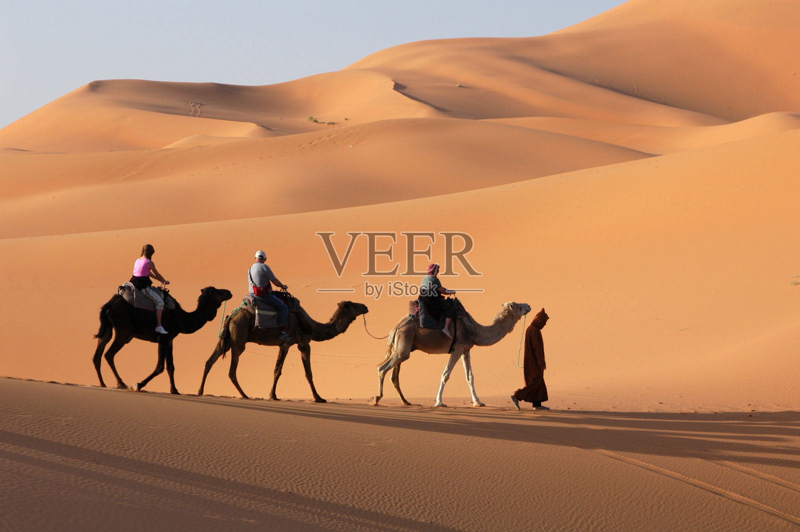 撒哈拉沙漠的骆驼商队照片摄影图片