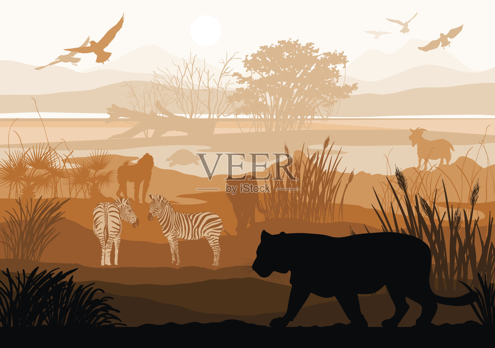 野生动物(老虎、斑马、山羊、鸟、猴子、乌龟)插画图片素材