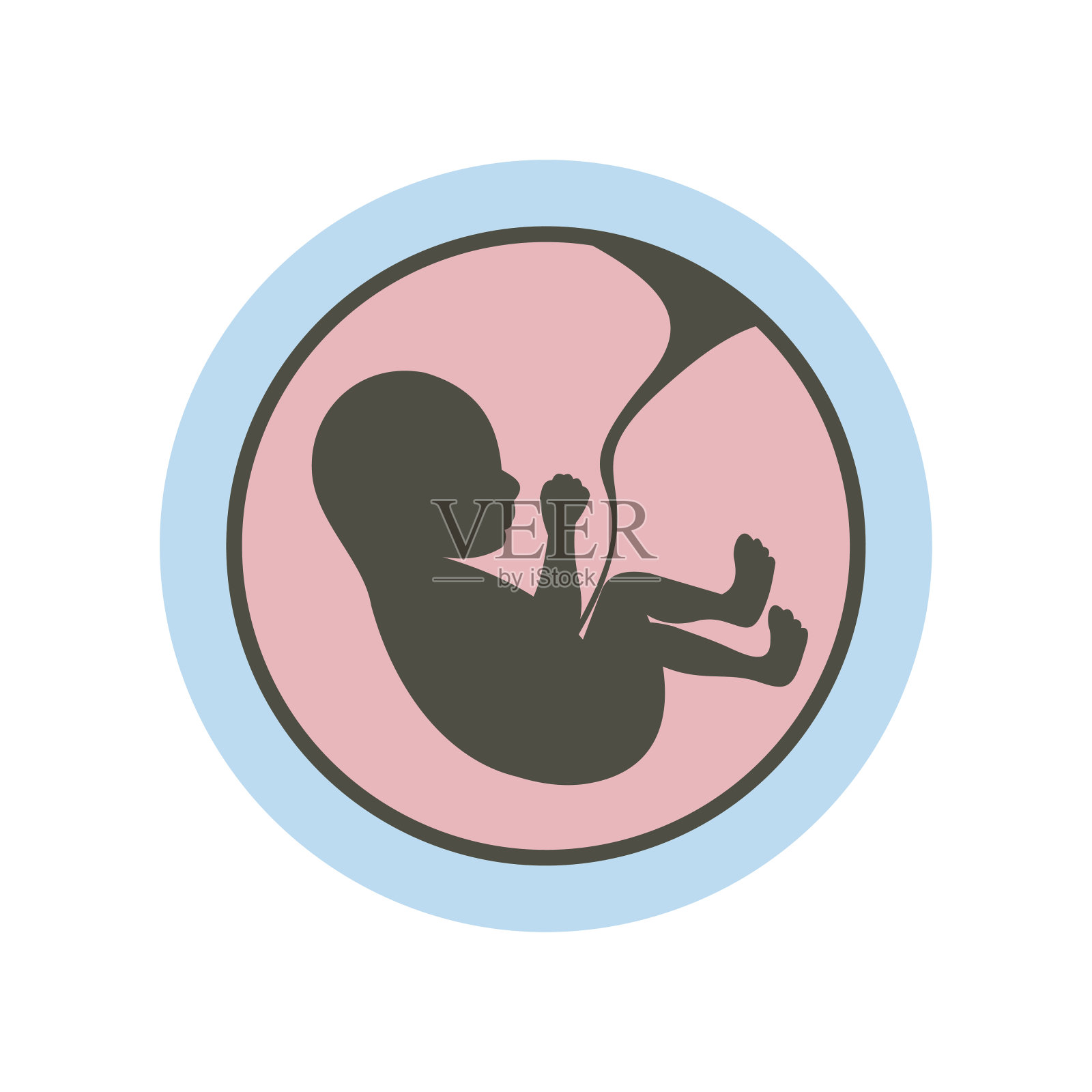 子宫里的婴儿插画图片素材