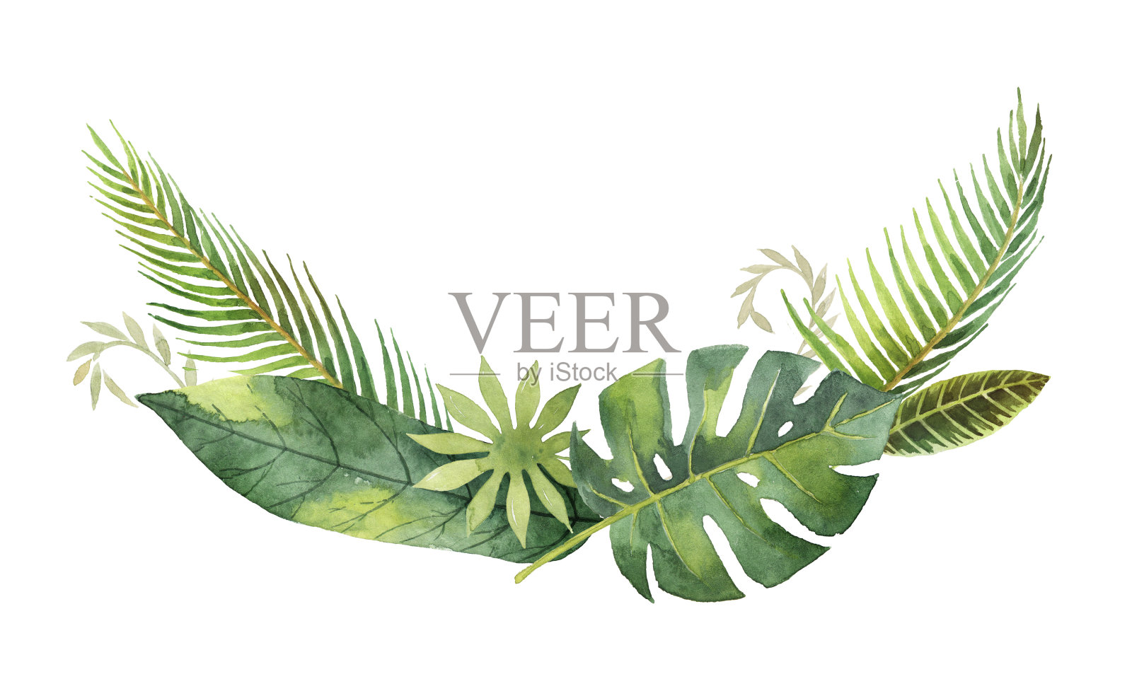 水彩花环热带树叶和树枝孤立在白色的背景。插画图片素材