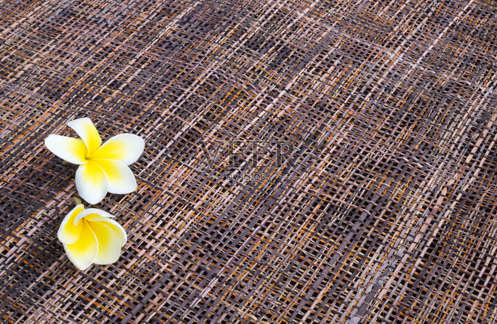鲜花的白色鸡蛋花(鸡蛋花)在彩色纹理稻草背景适合产品蒙太奇与文字空间。照片摄影图片