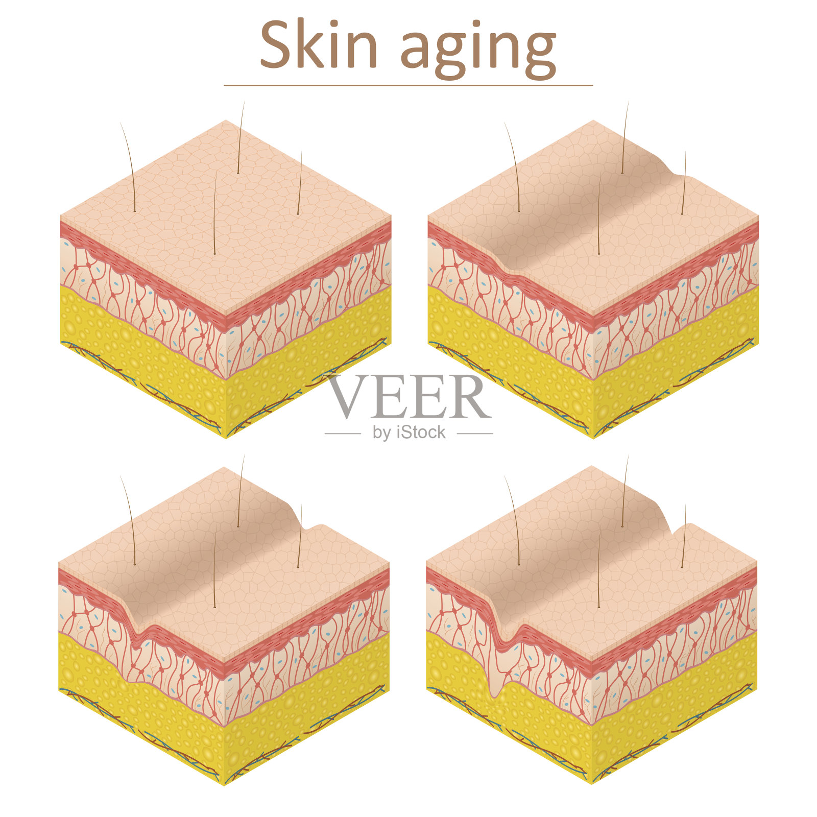 皮肤老化设置等距视图。向量插画图片素材