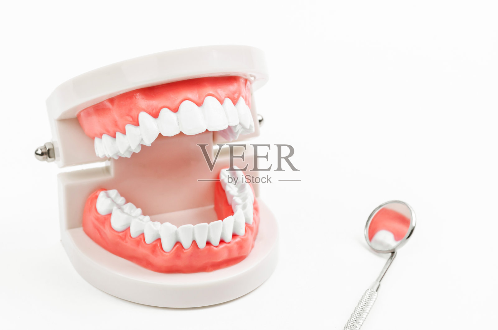 白牙模型和牙科器械照片摄影图片