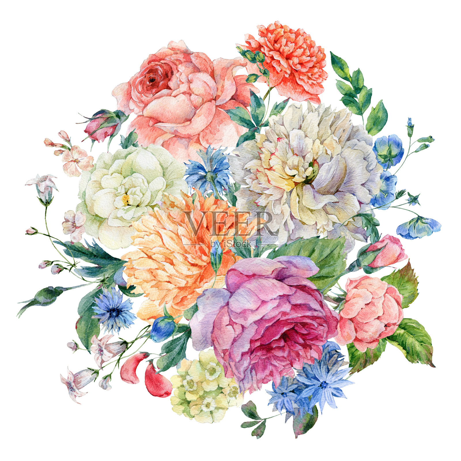 水彩画盛开的牡丹，玫瑰和野花插画图片素材