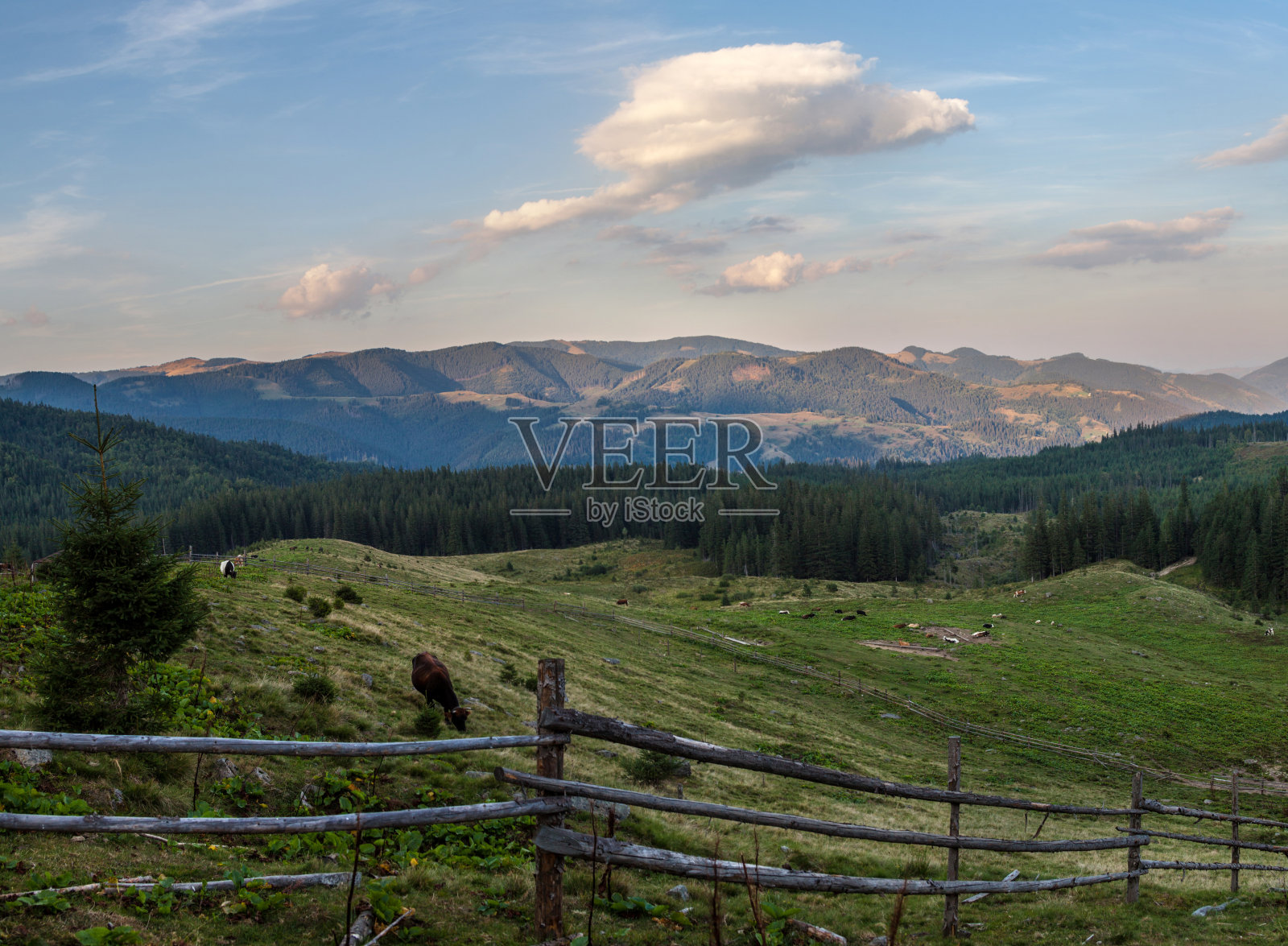 乌克兰喀尔巴阡山脉的风景照片摄影图片