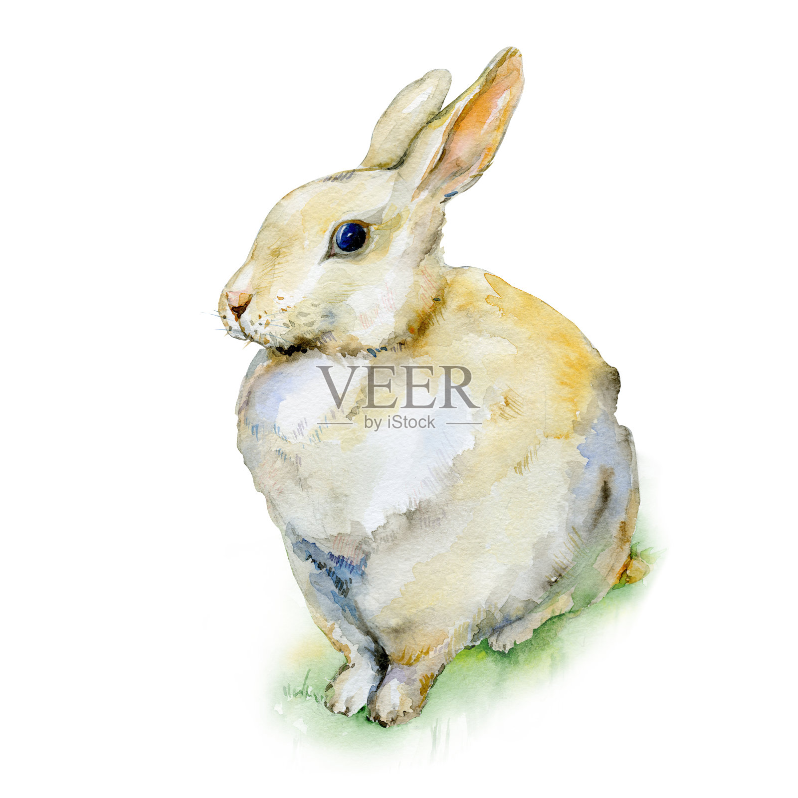水彩画兔子坐在草地上设计元素图片