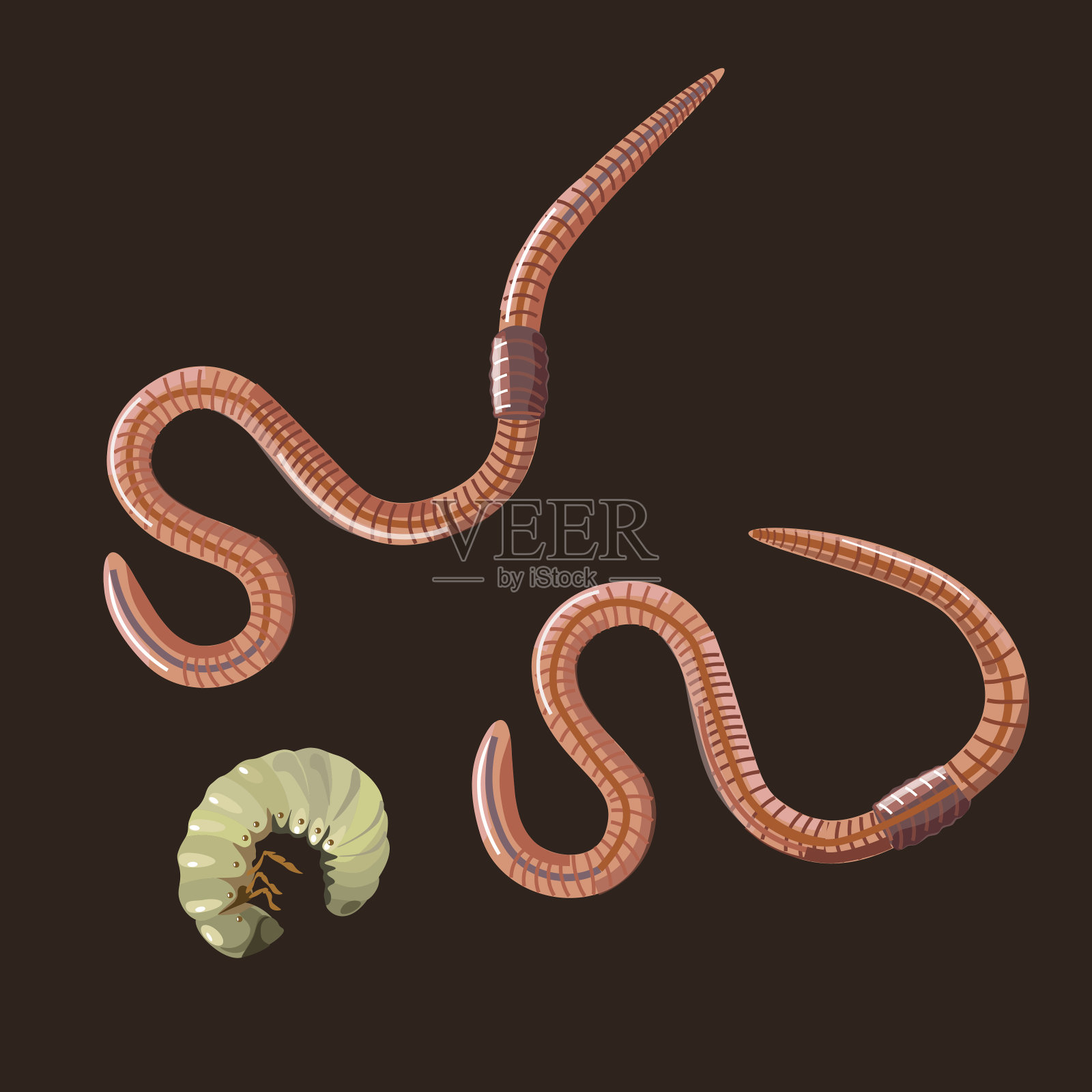 蚯蚓和幼虫设计元素图片