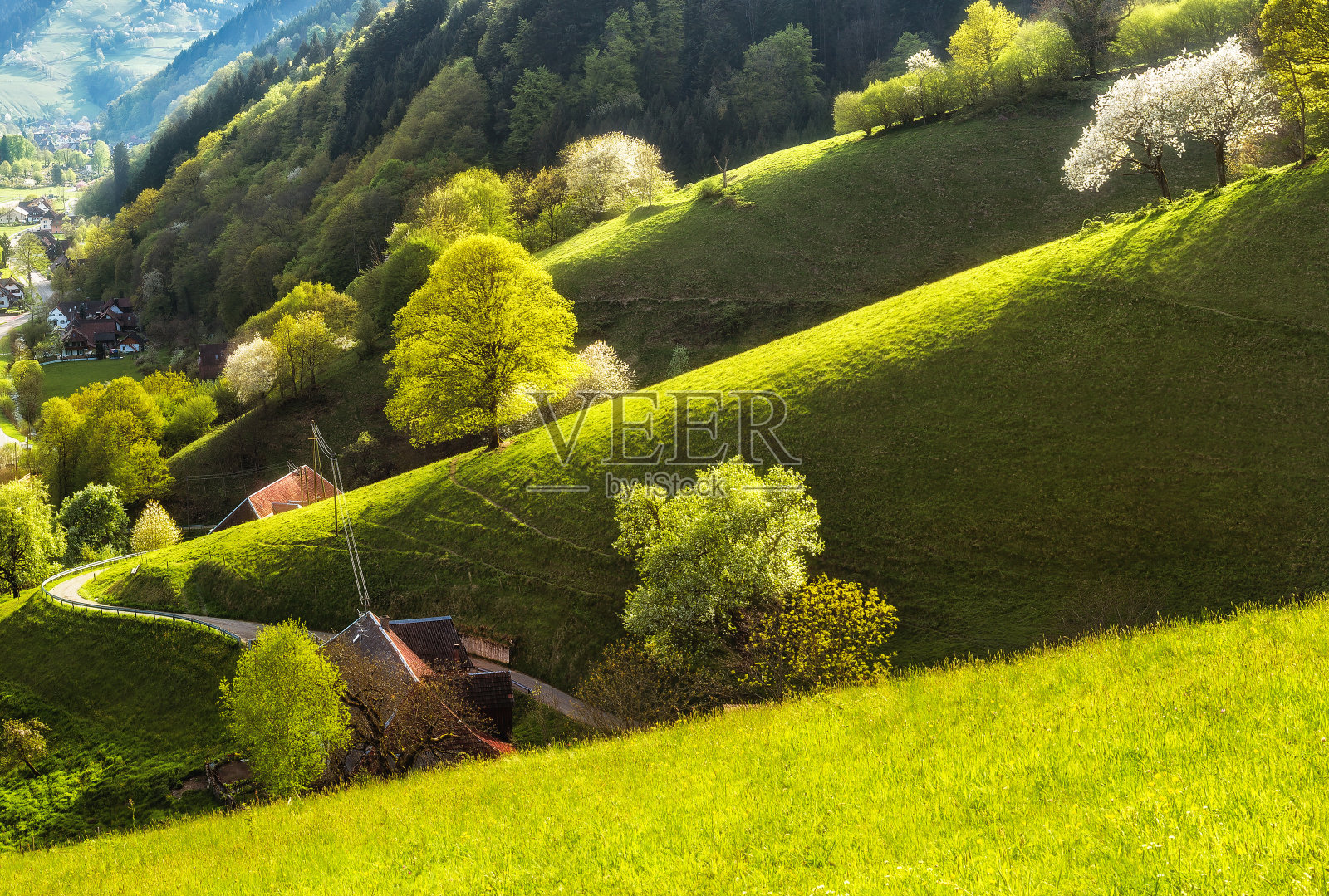风景如画的春天山谷绿意盎然。德国黑森林。照片摄影图片
