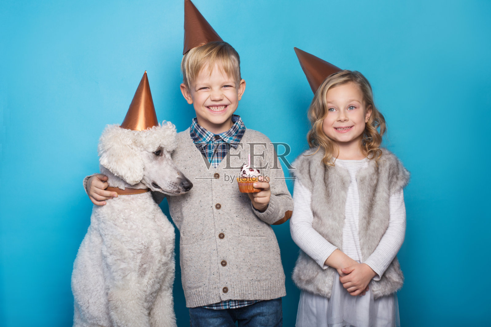 漂亮的小女孩和帅气的小男孩和小狗一起庆祝生日。友谊。家庭。工作室肖像在蓝色背景照片摄影图片