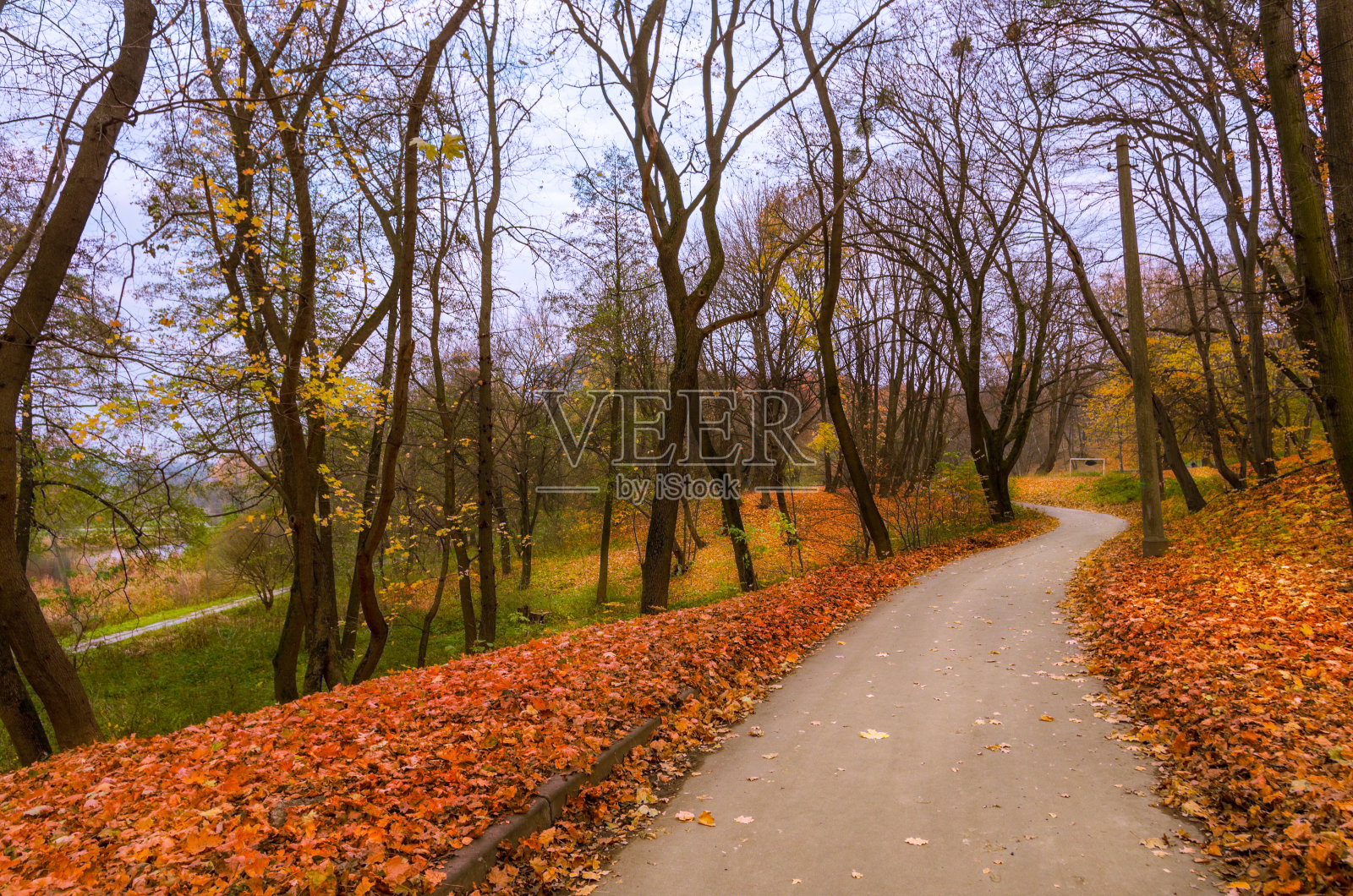 秋天的公园照片摄影图片