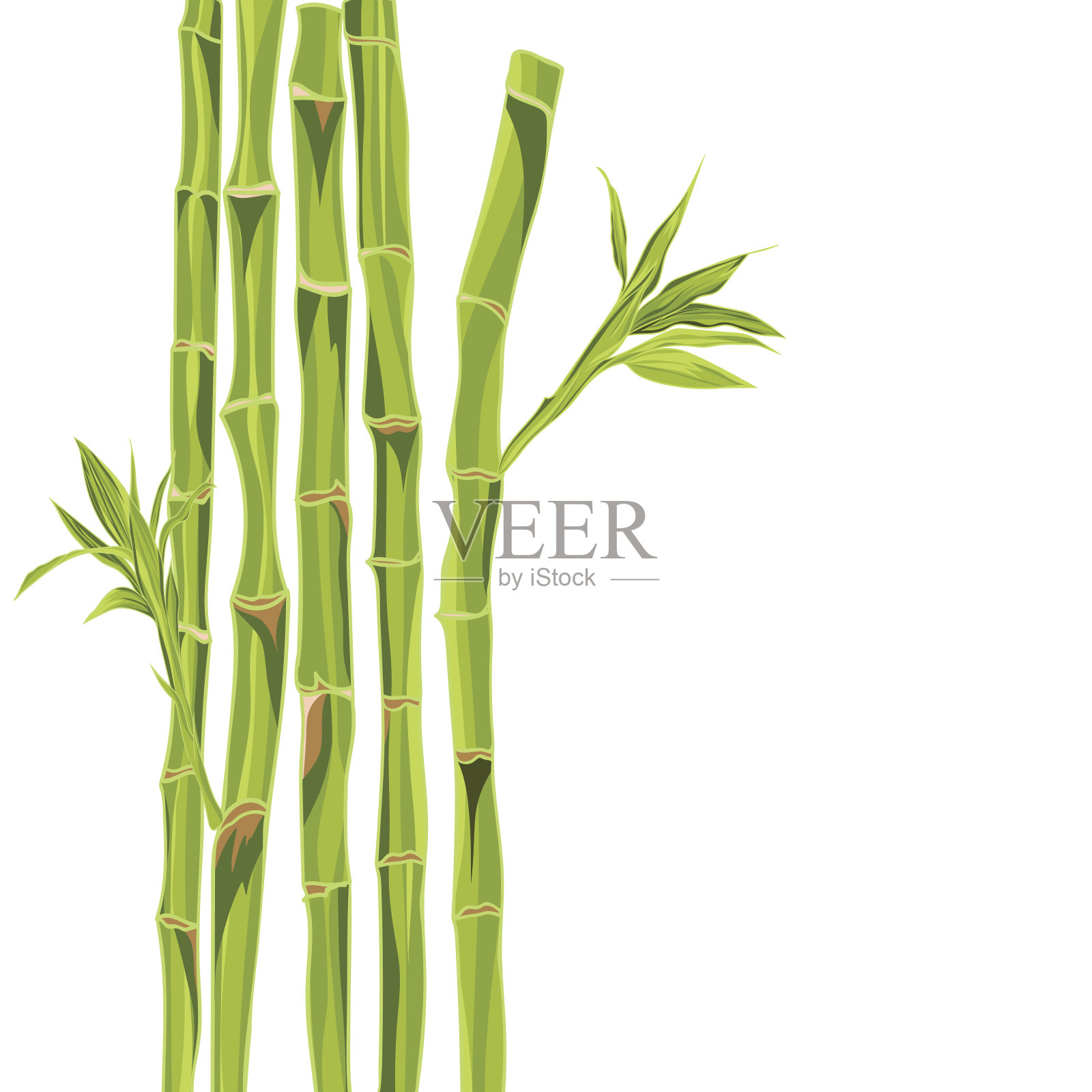手绘的绿色竹子背景与文字空间插画图片素材