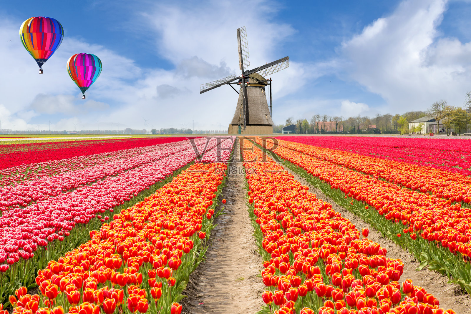 荷兰风景与热气球郁金香花束。照片摄影图片