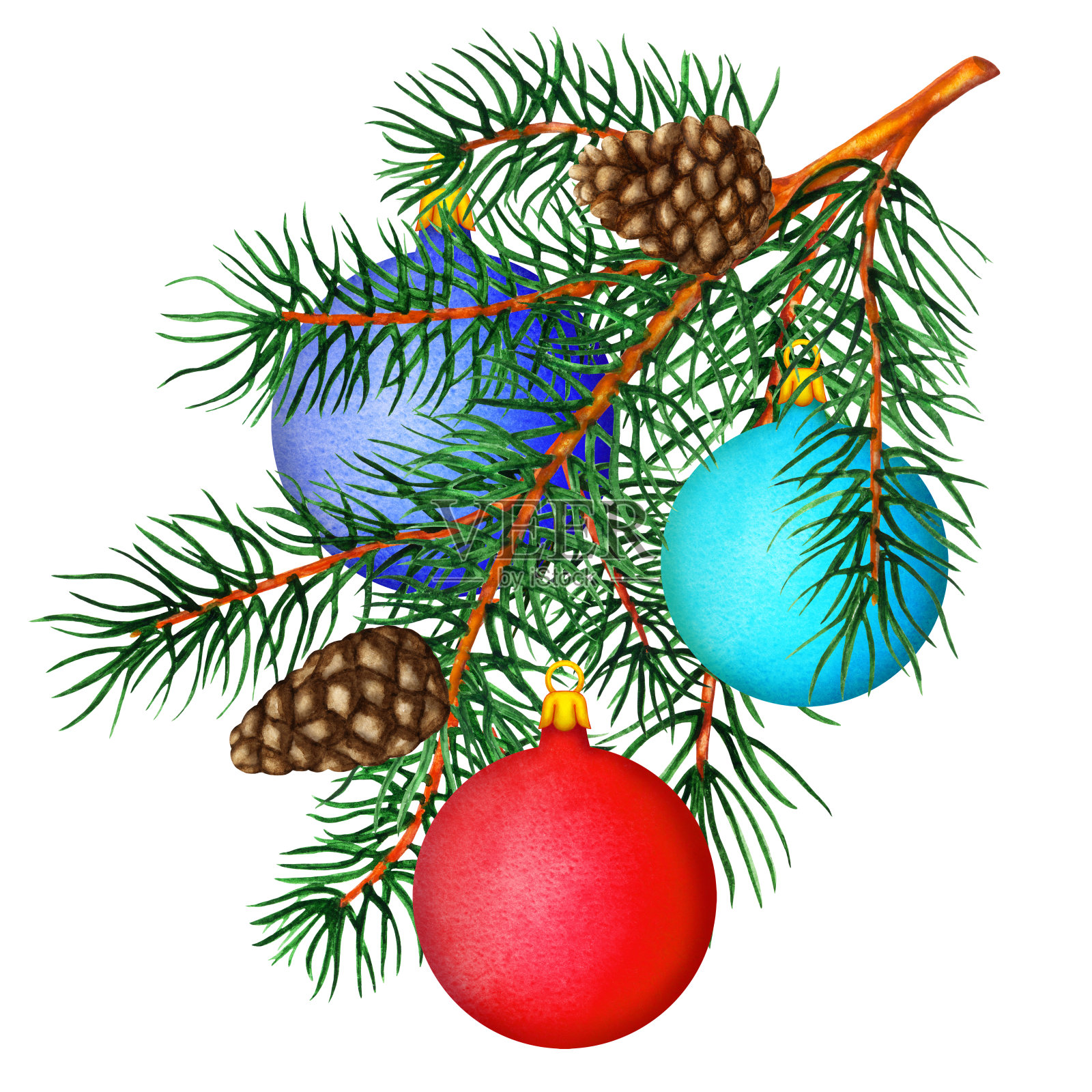 水彩松树树枝，球，球果插画图片素材