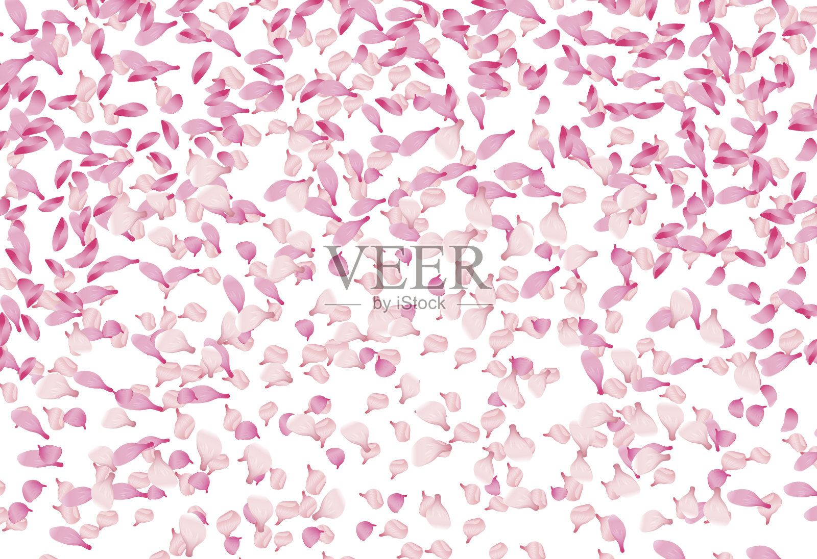 春天向量背景与樱花的粉红色花瓣飘落设计元素图片