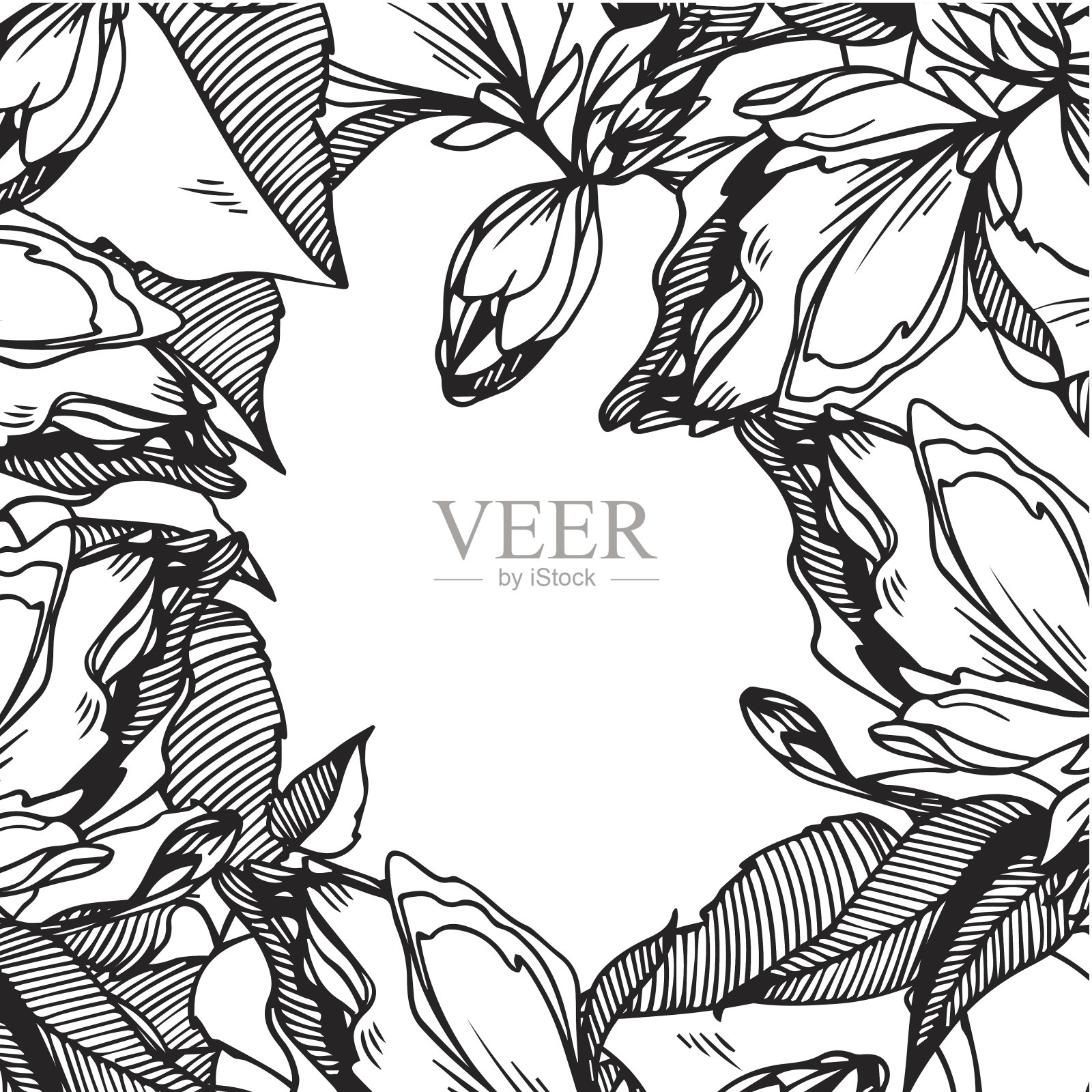 黑白向量框架抽象的花和叶插画图片素材