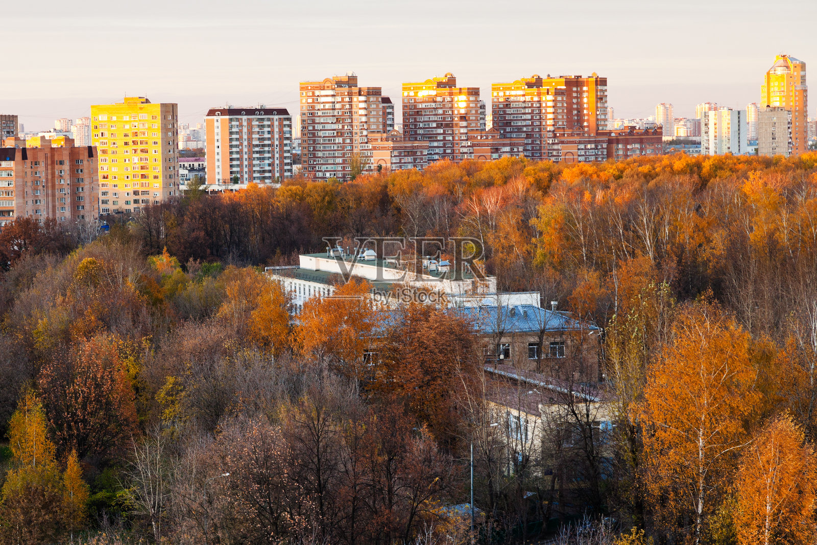 城市住宅区在粉红色的秋天日落照片摄影图片