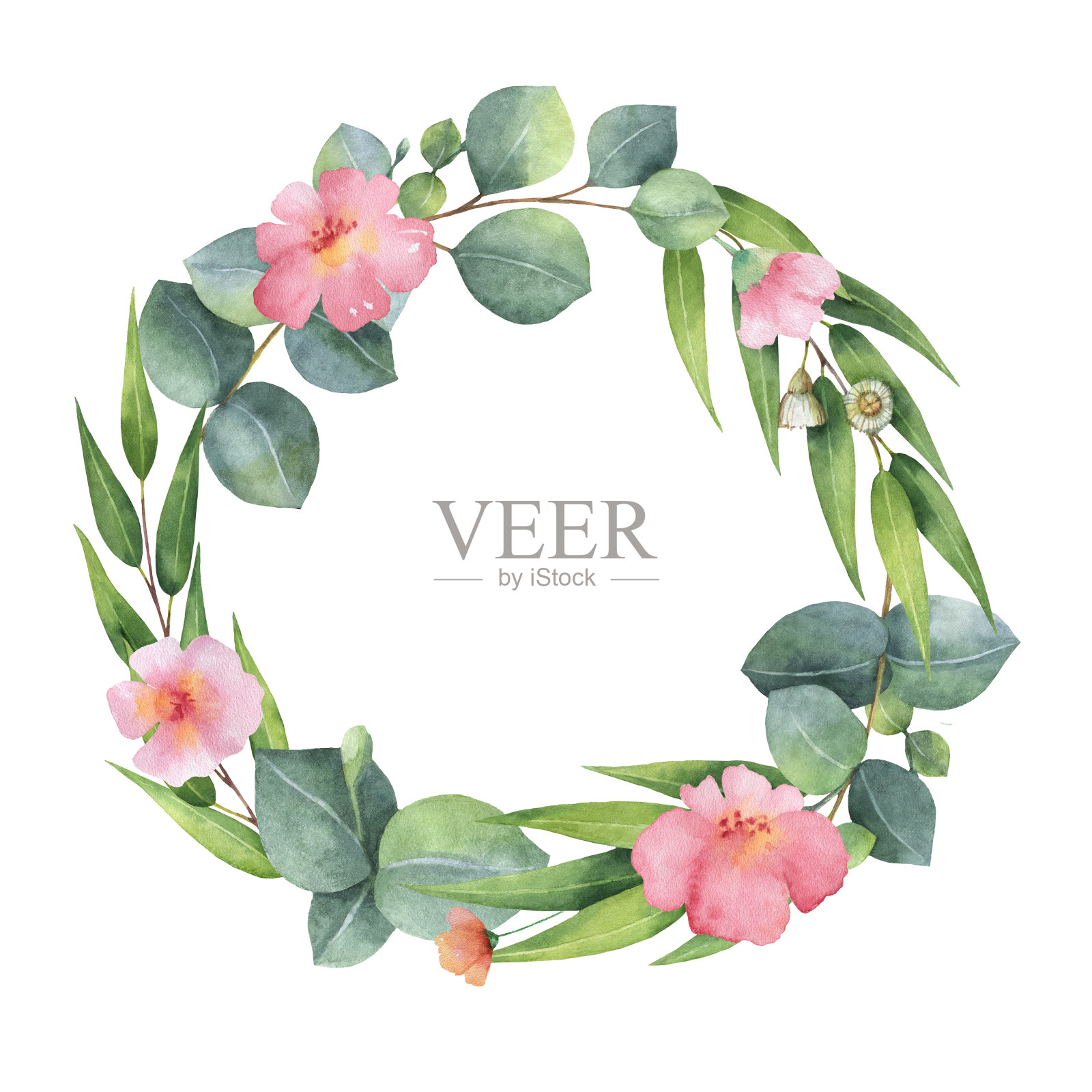 水彩手绘圆形花环与桉树和粉红色的花。插画图片素材