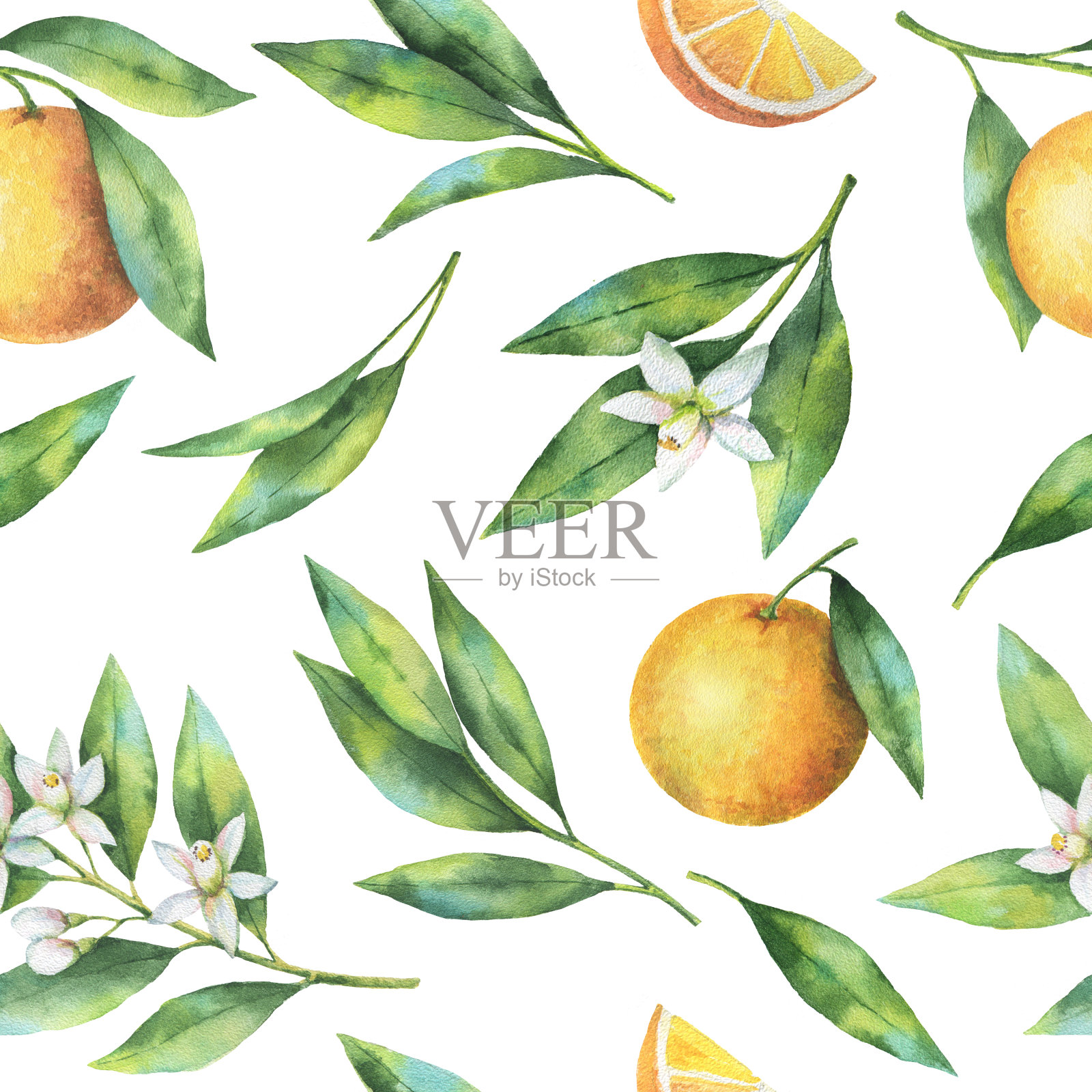 水彩水果橙色无缝图案的花和叶孤立在白色的背景。插画图片素材
