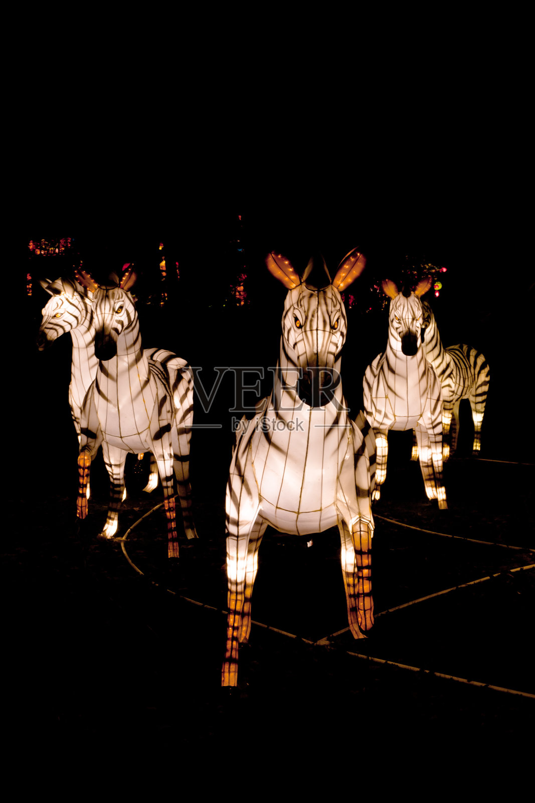 斑马——中国的纸灯笼照片摄影图片