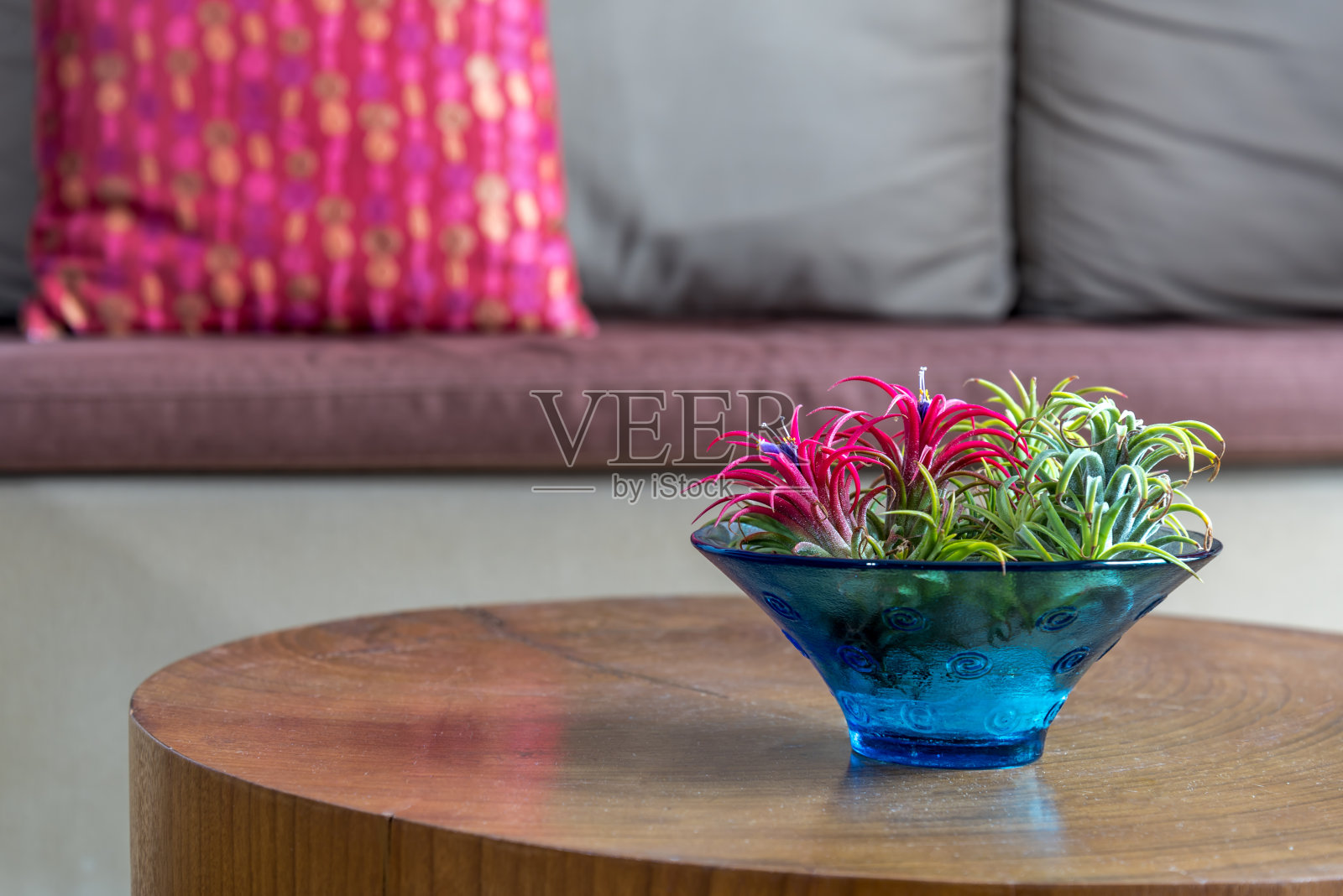 花瓶放在沙发背景的木桌上/生活风格和家居装饰概念照片摄影图片