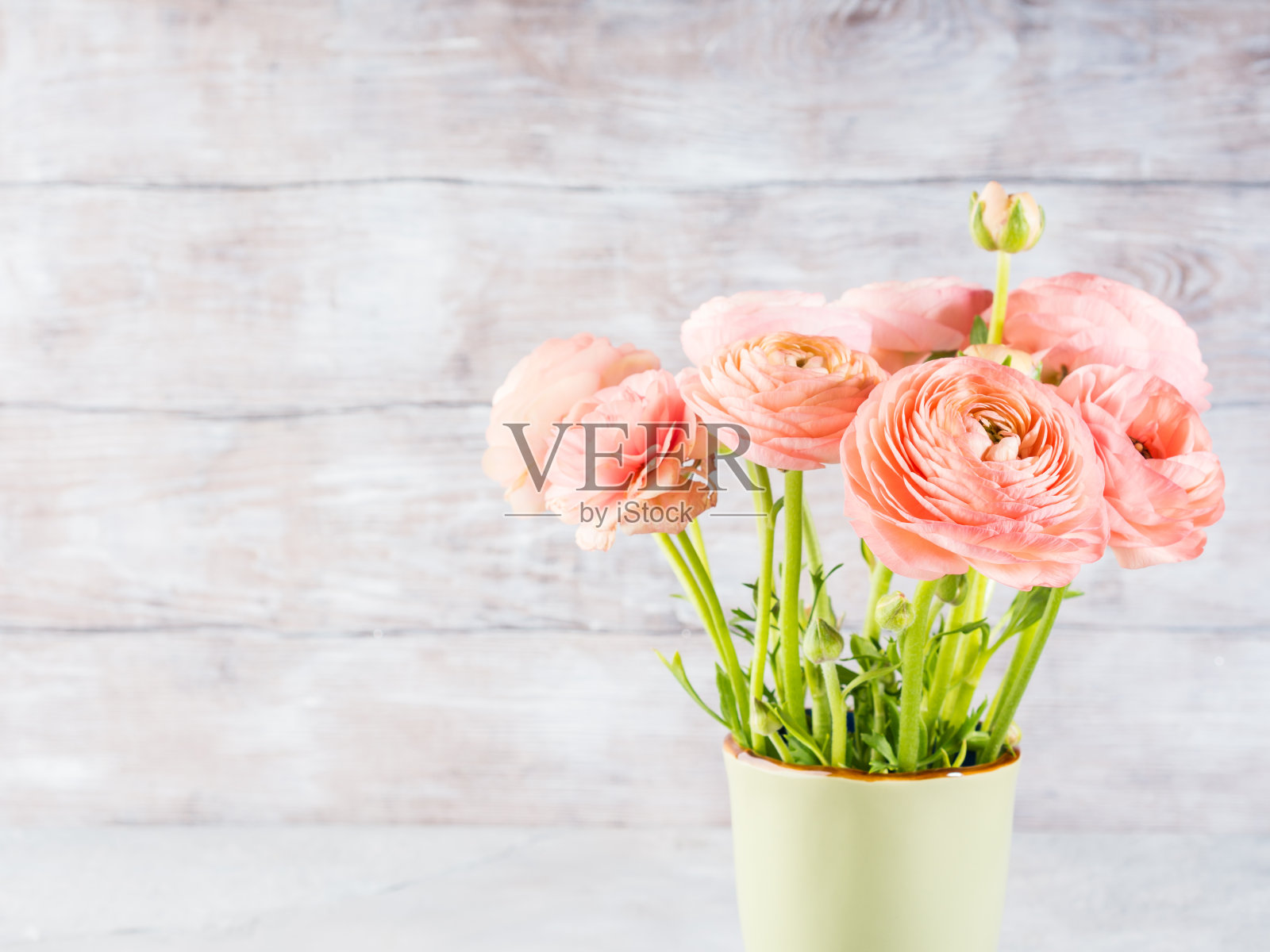 美丽的粉红色毛茛花束照片摄影图片