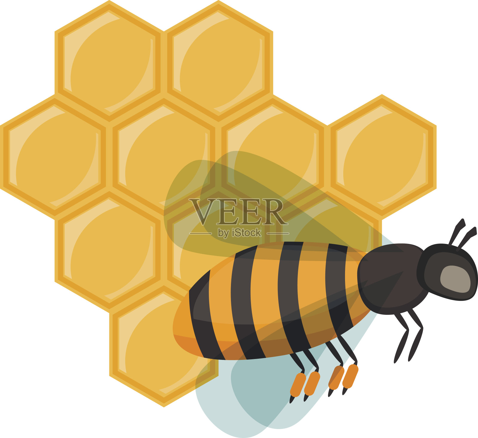 昆虫蜜蜂在白色载体上分离插画图片素材