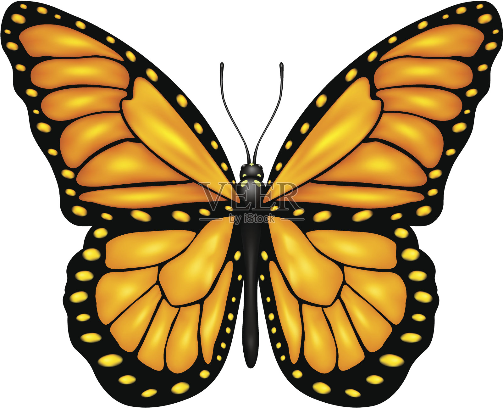 橙色的蝴蝶设计元素图片