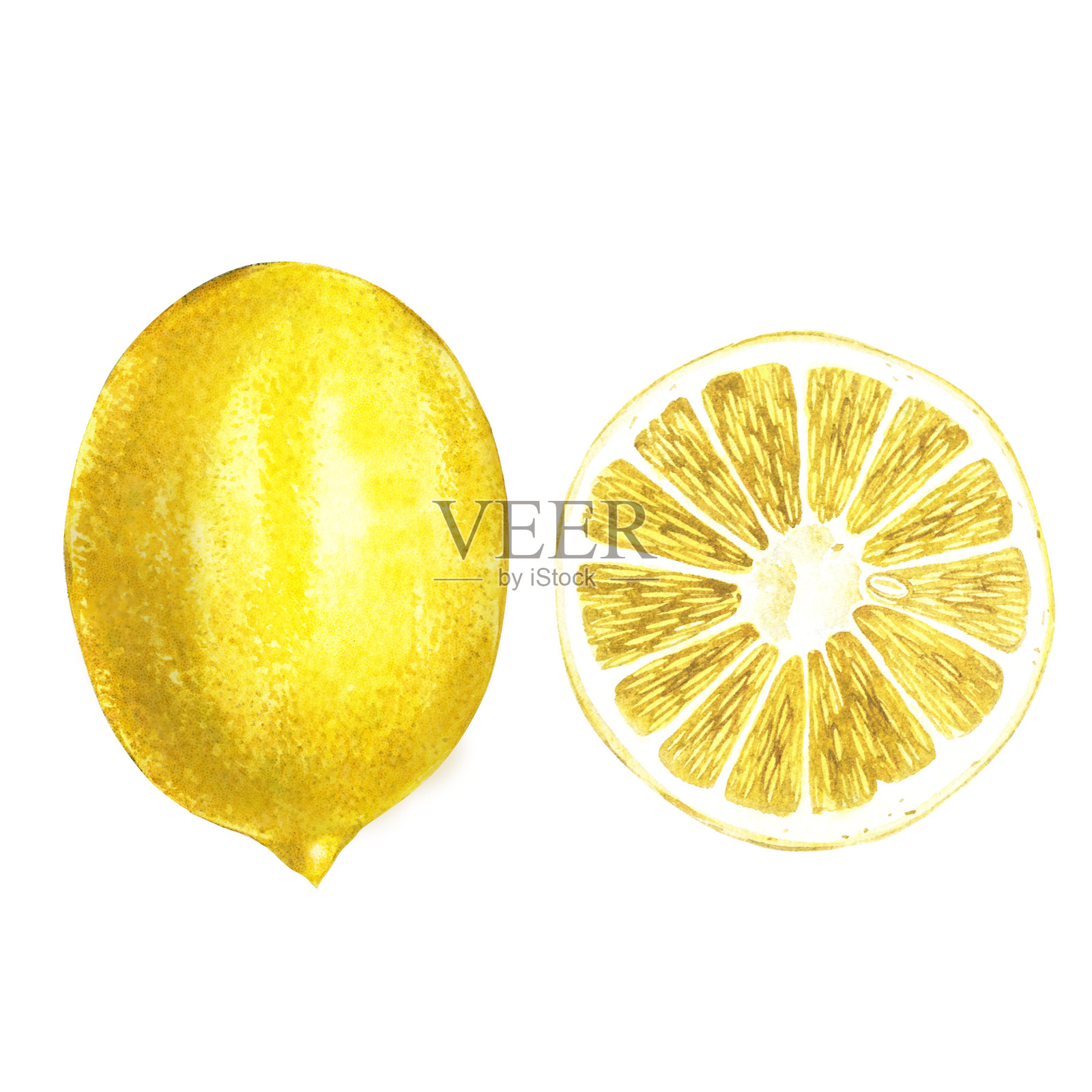 水彩黄色的柠檬。手绘水彩元素为您的设计。孤立在白色的。插画图片素材