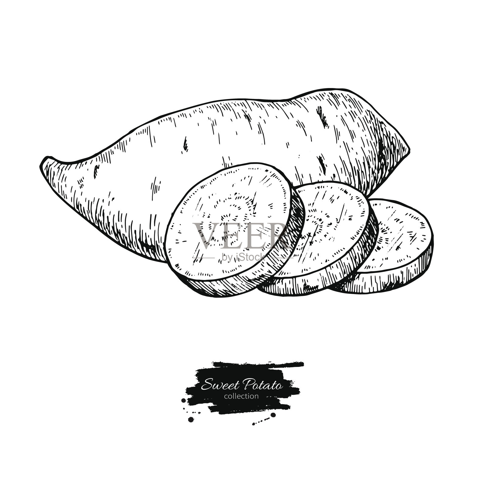 红薯手绘矢量插图。孤立的蔬菜雕刻风格对象。插画图片素材