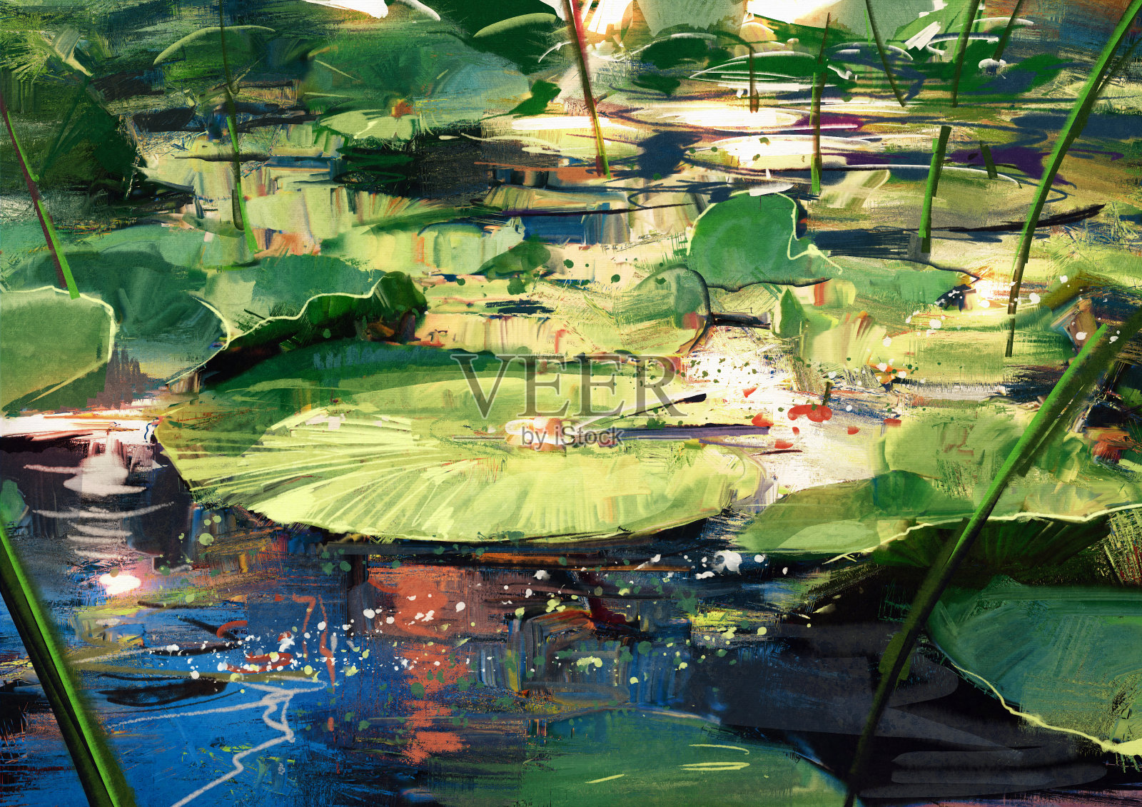 池塘里美丽的荷叶插画图片素材