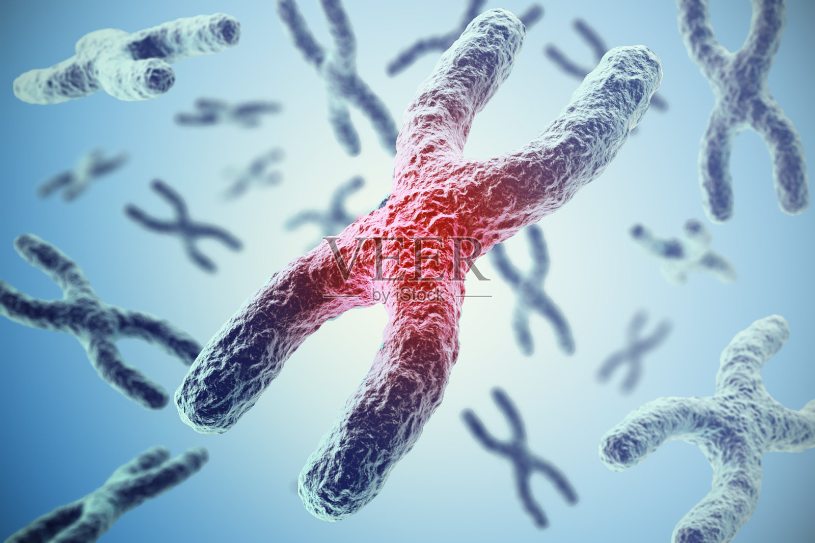 蓝色背景上的染色体，科学概念3d插图照片摄影图片