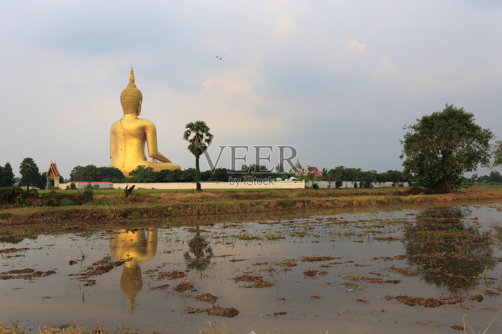 大的佛像,Angthong照片摄影图片