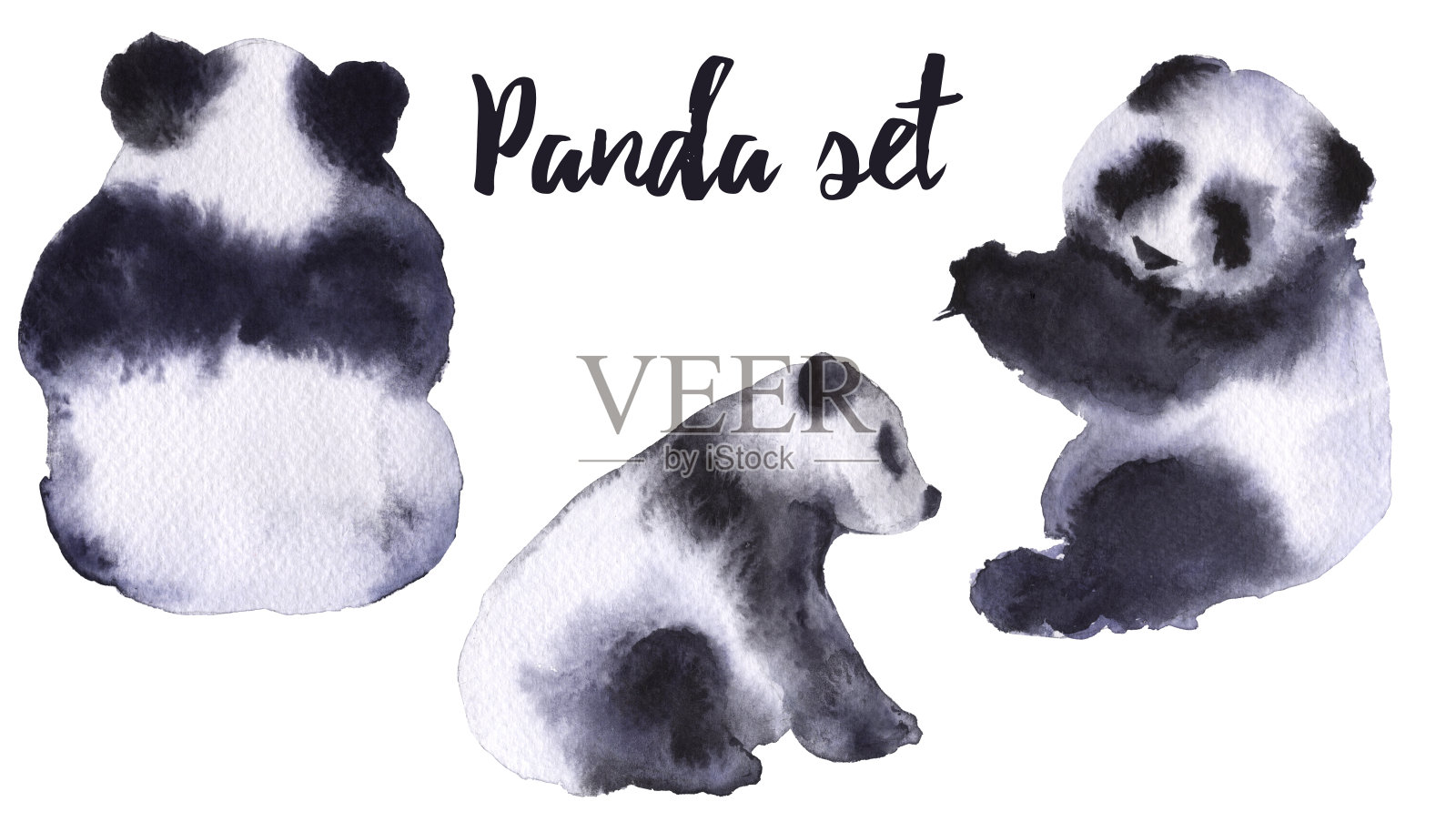 以熊猫为背景。孤立在白色背景上。插画图片素材
