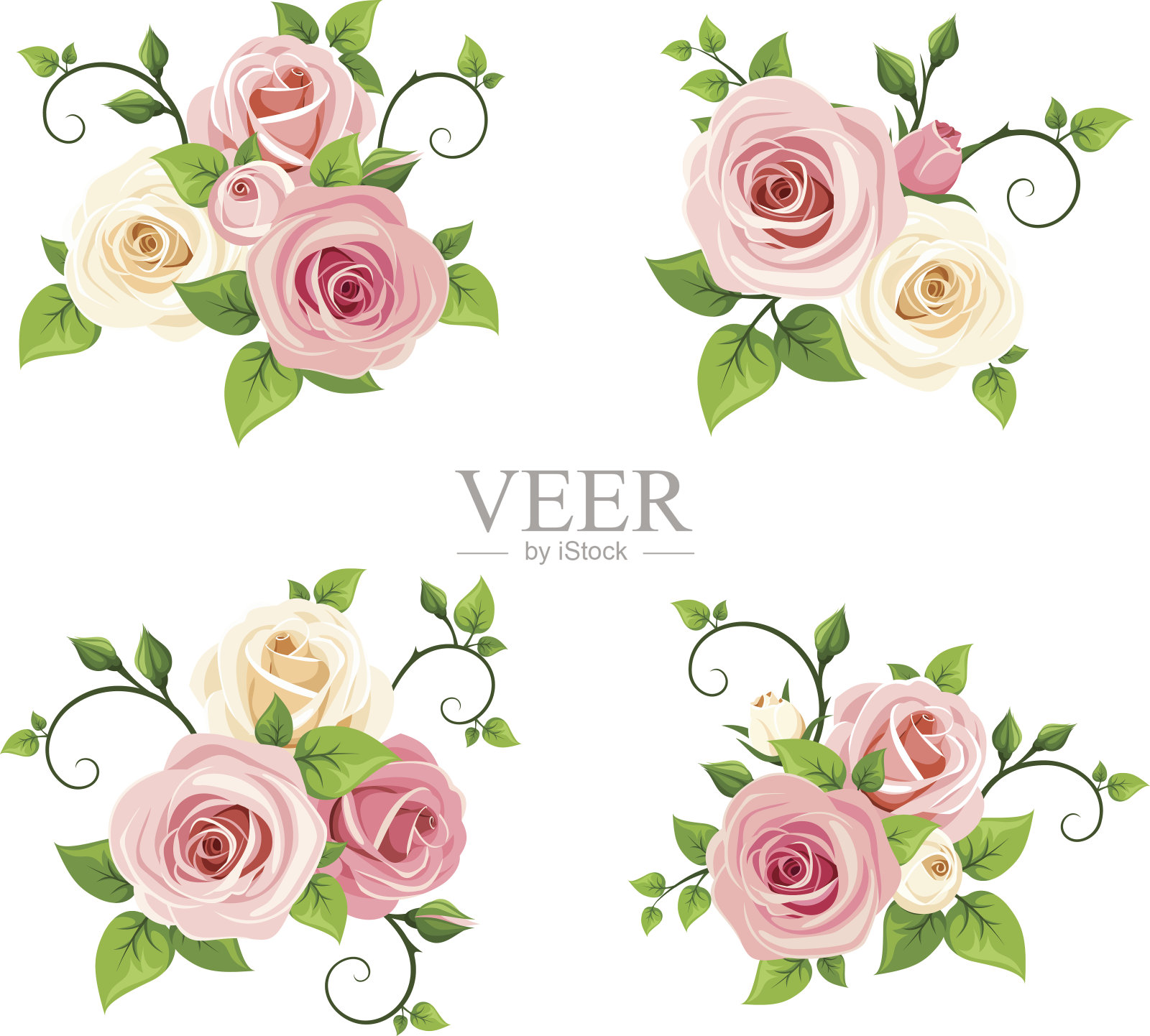 向量一套粉红色和白色的玫瑰枝。插画图片素材