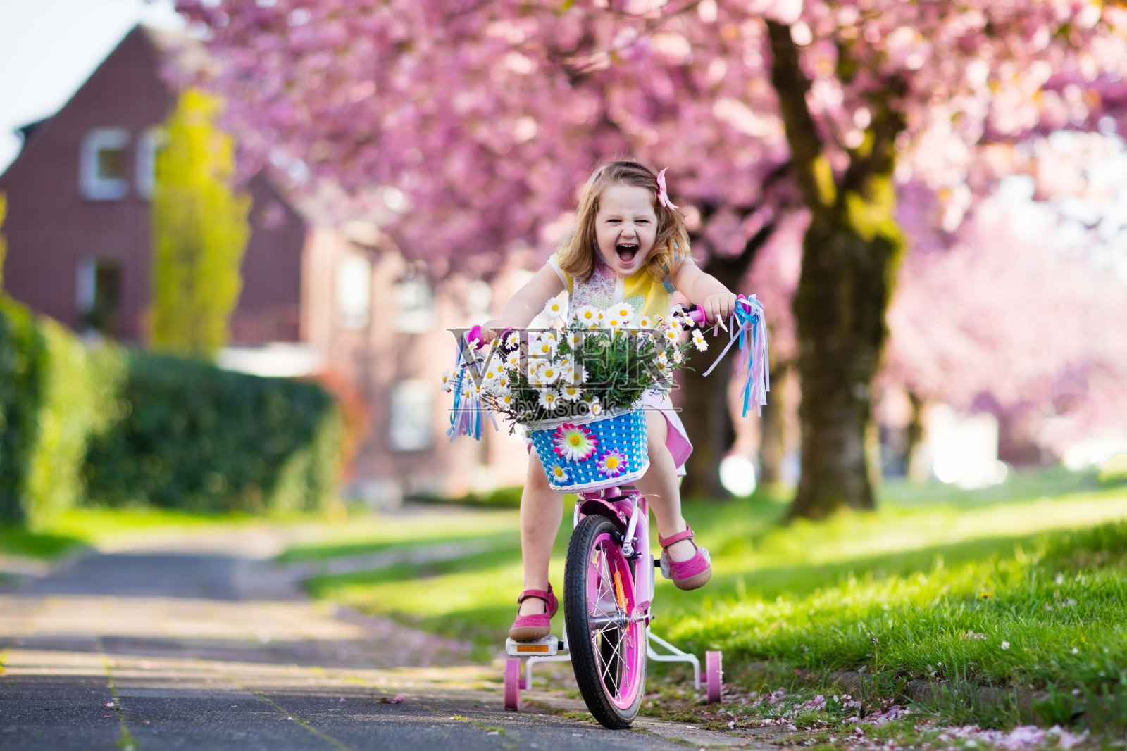 小女孩骑自行车。孩子的自行车。照片摄影图片