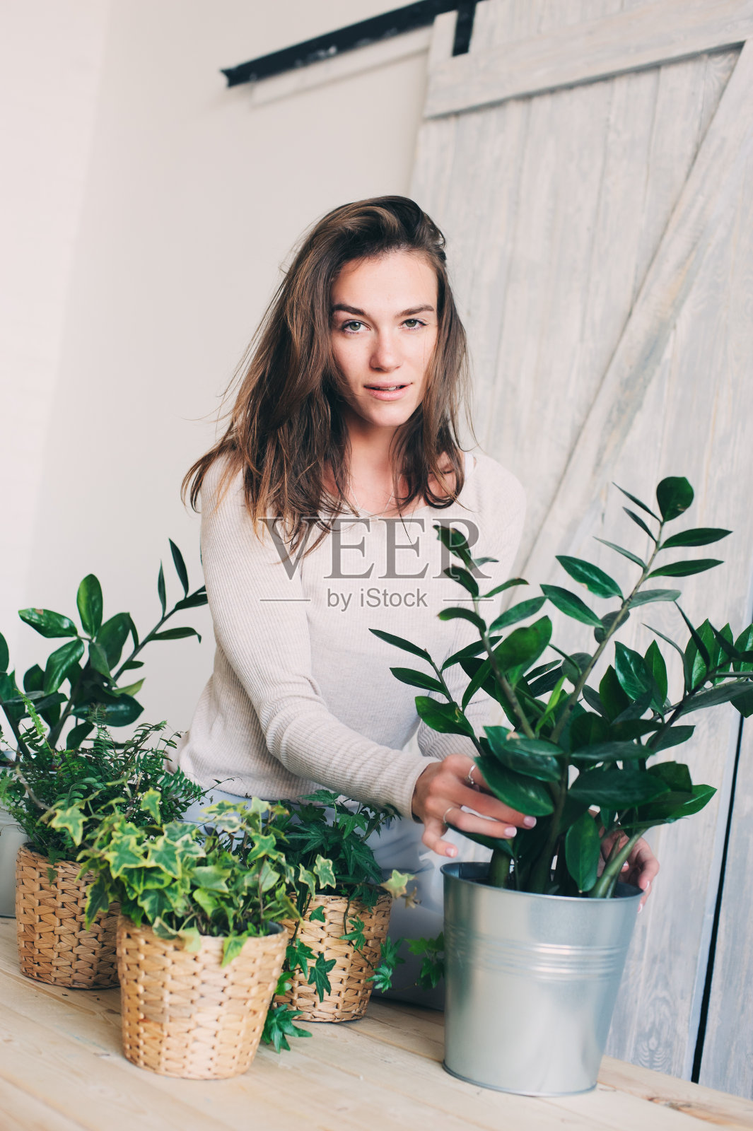 年轻女子在家里浇花盆。现代斯堪的纳维亚室内休闲生活方式系列照片摄影图片