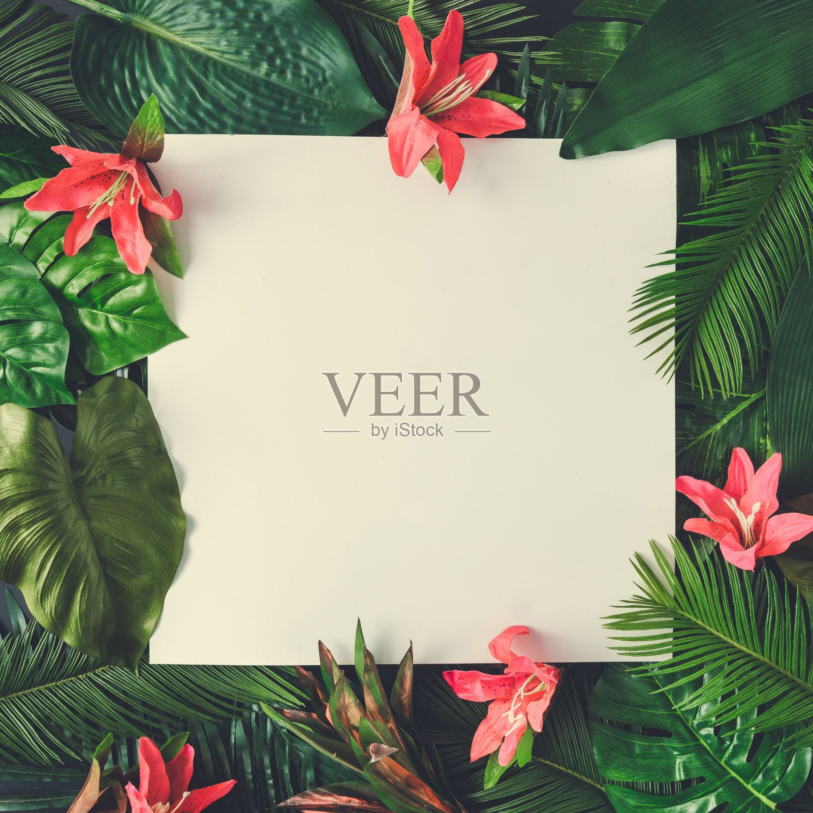 创意自然的布局由热带树叶和花卉与纸卡片便条。平的。夏天的概念。照片摄影图片