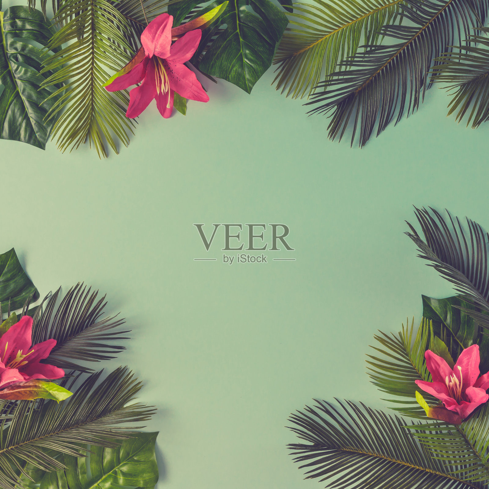 热带树叶和花朵在天蓝色背景下的创意自然布局。平的。夏天的概念。照片摄影图片