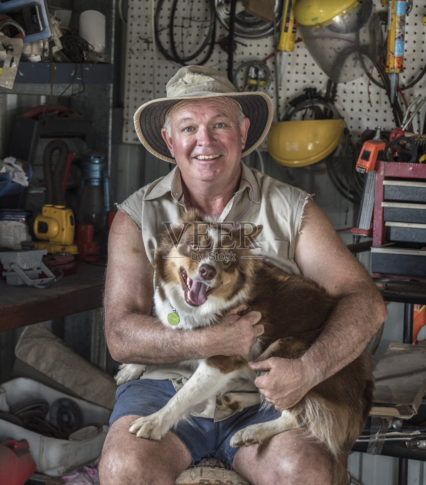 一名澳大利亚男子在他的牛棚里快乐地抱着他的牧牛狗。照片摄影图片
