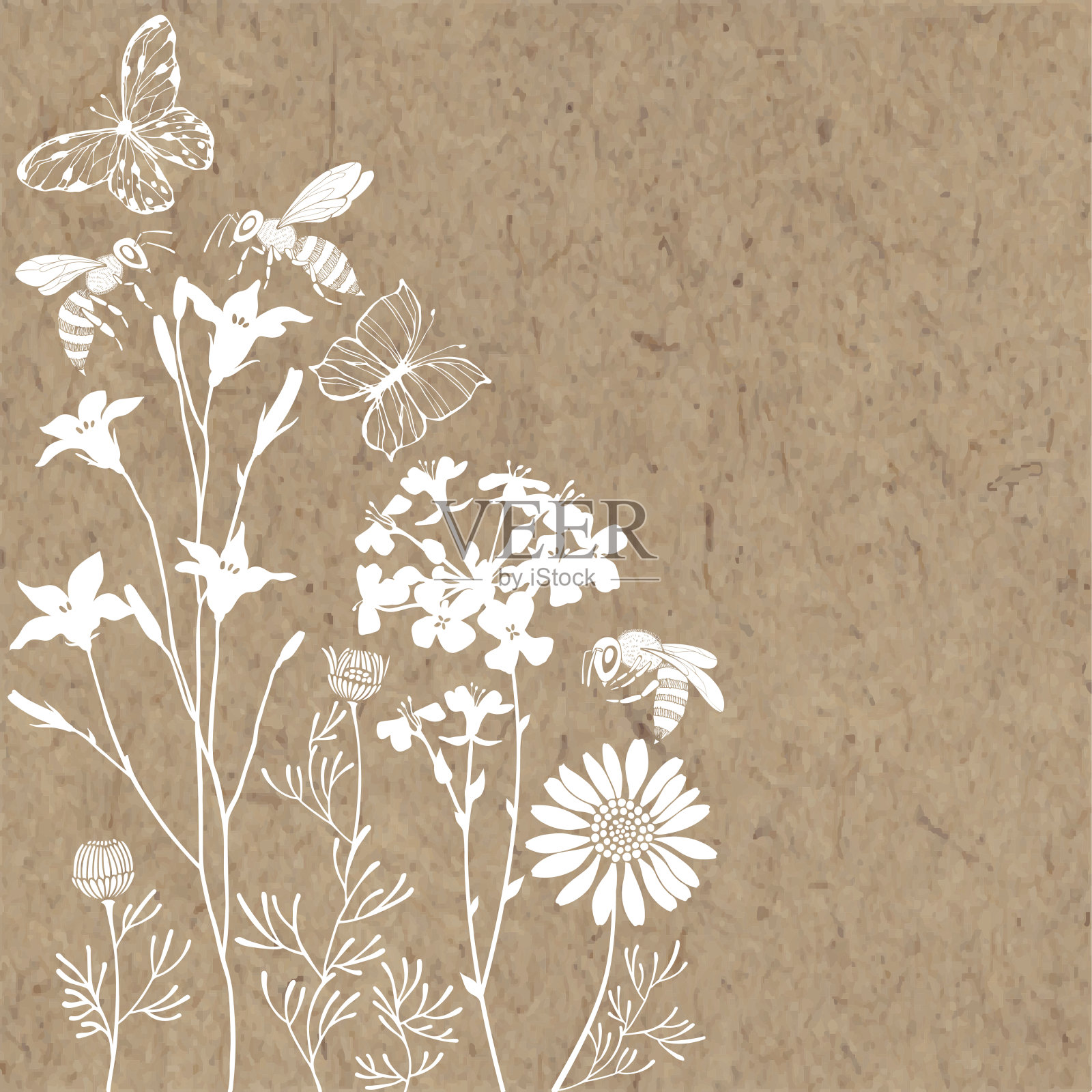 花的背景与草甸花，蝴蝶和蜜蜂。矢量插图牛皮纸与地方的文本。邀请，贺卡或您的设计元素。插画图片素材