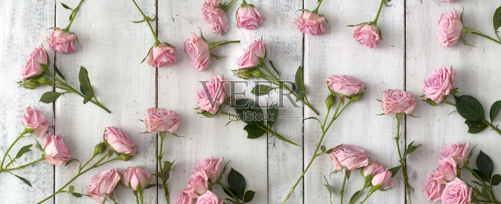木制背景上的粉色玫瑰照片摄影图片